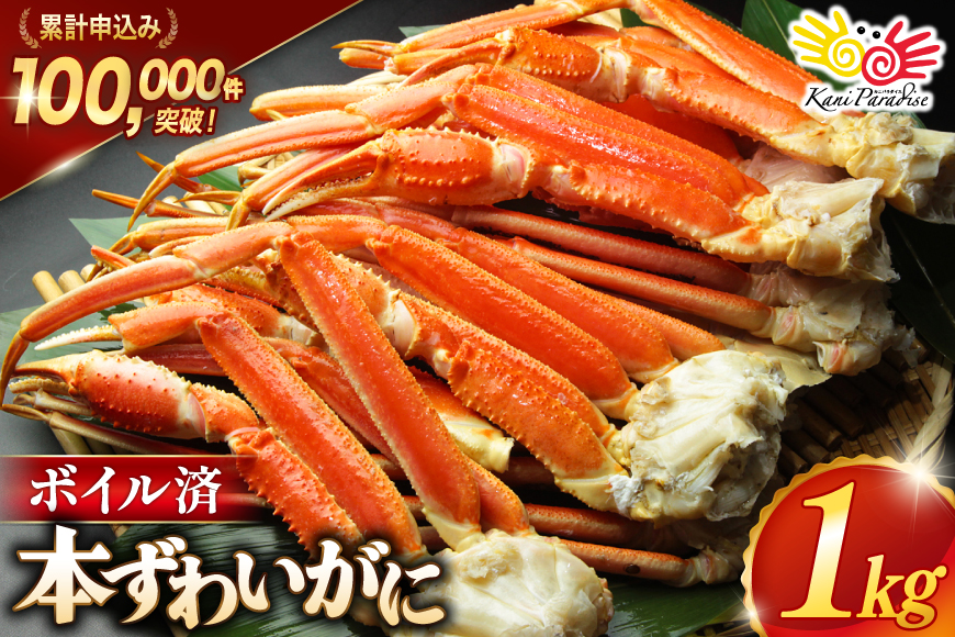 訳あり ボイル ずわいがに 肩付き脚 総重量1kg [カネダイ 宮城県 気仙沼市 20564325] カニ かに 魚介類 ズワイガニ ずわい蟹 ズワイ蟹 ずわい ズワイ 蟹 カニ カニ脚 蟹脚 不揃い 規格外 海鮮 ご褒美