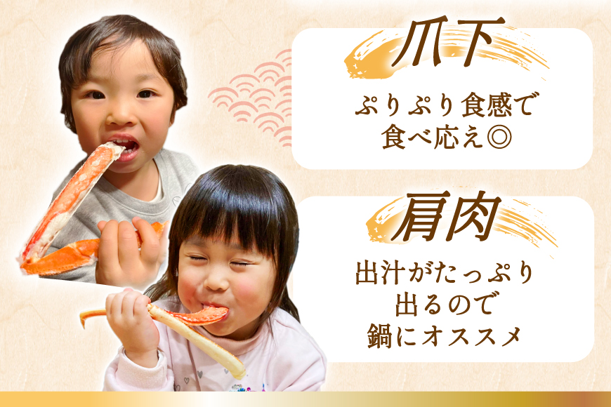 カット済 ずわいがに むき身セット 総重量1.5kg(750g×2p) かにしゃぶ かに鍋 正味重量1.2kg [カネダイ 宮城県 気仙沼市 20564319] かに カニ ずわいがに ずわい 蟹 棒 魚介 海鮮 ポーション