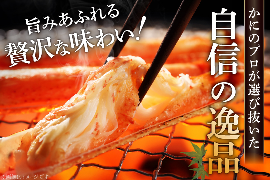 訳あり ボイル ずわいがに 肩付き脚 総重量1kg [カネダイ 宮城県 気仙沼市 20564325] カニ かに 魚介類 ズワイガニ ずわい蟹 ズワイ蟹 ずわい ズワイ 蟹 カニ カニ脚 蟹脚 不揃い 規格外 海鮮 ご褒美