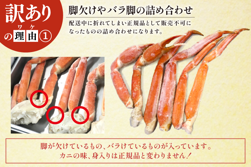 訳あり ボイル ずわいがに 肩付き脚 総重量1kg [カネダイ 宮城県 気仙沼市 20564325] カニ かに 魚介類 ズワイガニ ずわい蟹 ズワイ蟹 ずわい ズワイ 蟹 カニ カニ脚 蟹脚 不揃い 規格外 海鮮 ご褒美