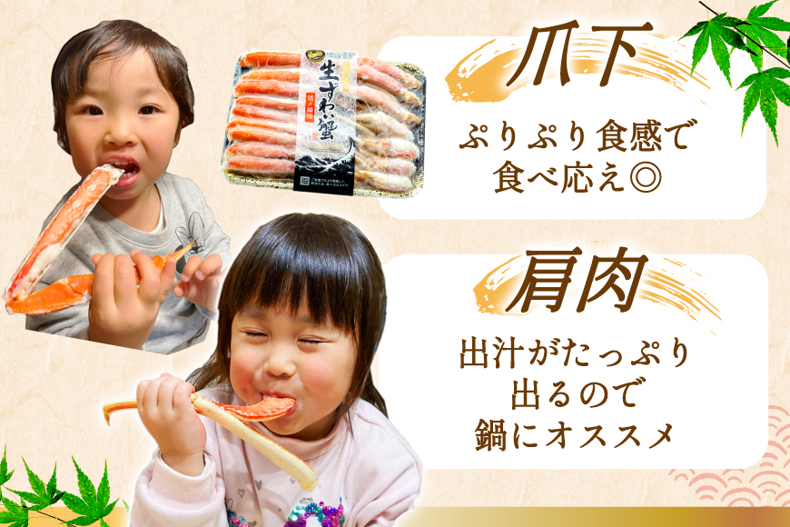 カット済 生 ずわいがに むき身 セット 総重量 1.5kg (正味重量1.2kg) 2-3Lサイズ [カネダイ 宮城県 気仙沼市 20565690] かに カニ ズワイガニ ずわい ズワイ 蟹 棒肉 ポーション かに鍋 かにしゃぶ 生ずわい