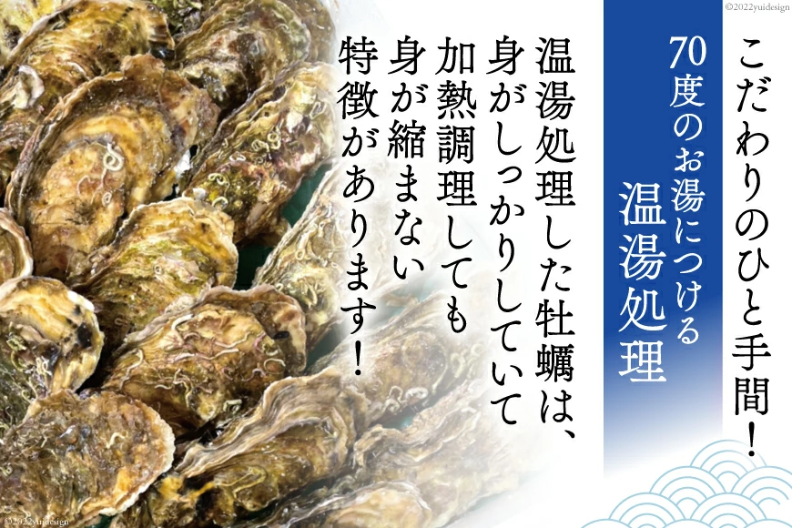 【期間限定発送】 牡蠣 小粒 1〜1年半モノ 生食 殻付き牡蠣 約2kg (約16〜22個入) [住喜水産 宮城県 気仙沼市 20565055] 冷蔵 新鮮 濃厚 真牡蠣 カキ かき 生牡蠣 魚貝類 貝 海鮮 魚介類 なべ カキフライ 牡蠣ご飯 魚介