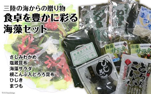 海の美味しさギュッと詰め合わせ！三陸海藻セット [三井商店 宮城県 気仙沼市 20564169] 海藻 三陸 さしみわかめ 塩蔵昆布 海藻サラダ 根こんぶ とろろ昆布 ひじき まつも わかめ ワカメ 昆布 こんぶ 塩蔵 乾燥 常温 詰め合わせ セット