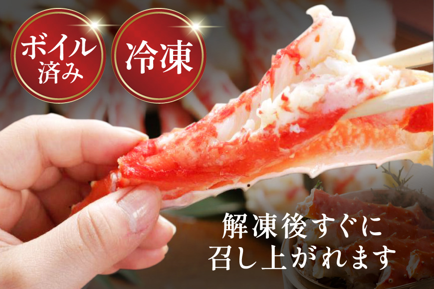 本 タラバガニ 脚 スリット入 約1.3kg 極太6Lサイズ ボイル済 [カネダイ 宮城県 気仙沼市 20564363] カニ かに 蟹 たらばがに たらば蟹 タラバ蟹 たらば タラバ ボイル 脚肉 スリット 訳あり