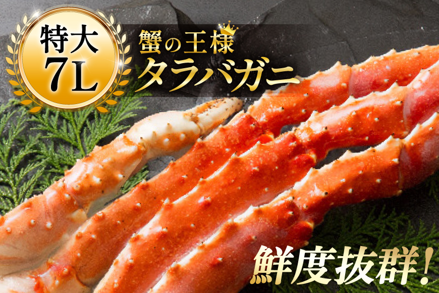 本 タラバガニ 脚 ボイル済 約1.5kg 極太7Lサイズ [カネダイ 宮城県 気仙沼市 20564326] カニ かに 蟹 たらばがに たらば蟹 タラバ蟹 たらば タラバ ボイル