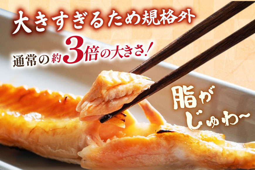 訳あり 大トロ サーモン トロ ハラス フィレ 加熱用 甘塩味 総重量1kg 3-7枚入 [足利本店 宮城県 気仙沼市 20565053] 魚介類 海鮮 さけ サケ シャケ 鮭 お刺し身 刺し身 はらす 鮭ハラス 個包装 魚 魚介 小分け 生食用 真空パック 食品 トロサーモン サーモンステーキ 無添加