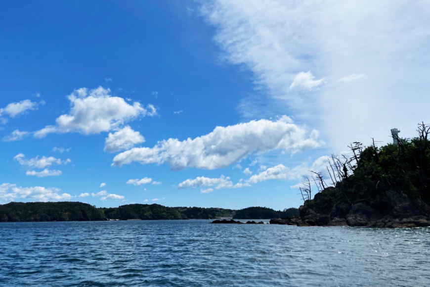 殻付き牡蠣 生食用 三倍体牡蠣 島乙女 約840g 12個入 [カネキ水産 宮城県 気仙沼市 20565985] 牡蠣 期間限定 冷蔵 新鮮 濃厚 カキ かき 生牡蠣 魚貝類 貝 海鮮 魚介類 なべ カキフライ 牡蠣ご飯 魚介