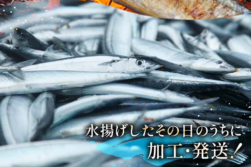 【期間限定発送】 生 さんま 15尾 [阿部長商店 宮城県 気仙沼市 20566342] 魚 サンマ 秋刀魚 生鮮 鮮魚 季節限定