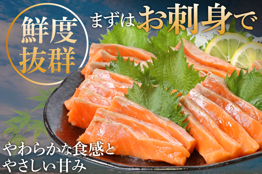 訳あり サーモン 切り落とし おさしみ用 500g 125g x4p [足利本店 宮城県 気仙沼市 20565975] 魚 魚介類 鮭 お刺し身 刺し身 刺身 生 生食 個包装 チリ銀鮭 銀鮭 海鮮 海鮮丼 魚介 タレ付き