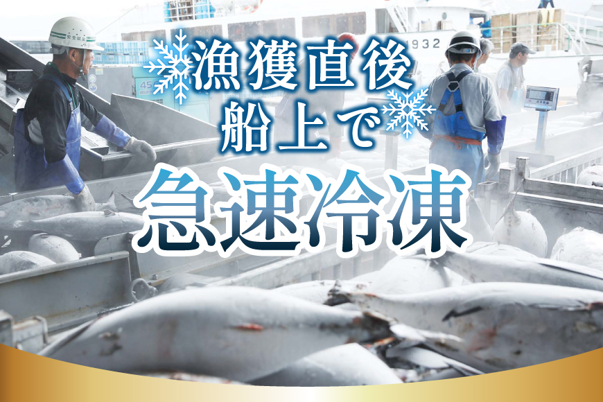 亀洋丸のお刺身用戻りかつおとかつおタタキのセット（各1筋） [阿部長商店 宮城県 気仙沼市 20565601] カツオ かつお 鰹 たたき かつおたたき 刺身 生食 鮮魚 おさしみ お刺身 冷凍 小分け 個包装
