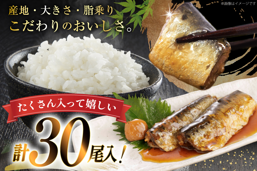 訳あり 業務用 いわし煮魚 3種 ×10尾 計30尾入 約1.5kg 簡易包装 [カネダイ 宮城県 気仙沼市 20565562] 魚 魚介 煮魚 国産 生姜煮 梅肉煮 みぞれ煮 おかず 焼き魚 簡単 時短 訳アリ 冷凍