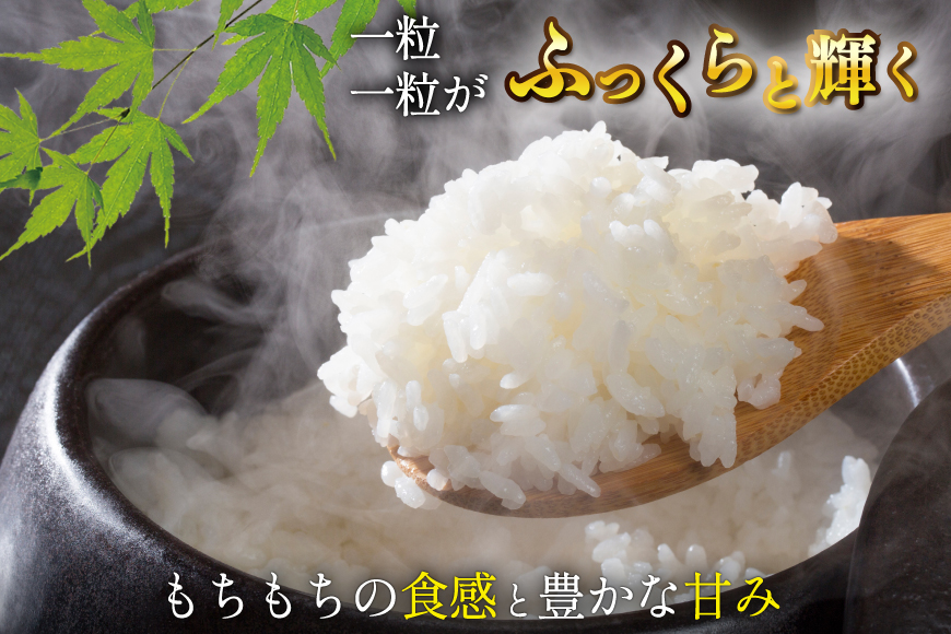 3回 定期便 米 宮城県産 とまたんのひとめぼれ 3kg 総計9kg [サンフレッシュ小泉農園 宮城県 気仙沼市 20566082] ひとめぼれ ブランド米 白米 精米 ご飯 ごはん コメ こめ お米 小分け 家庭用
