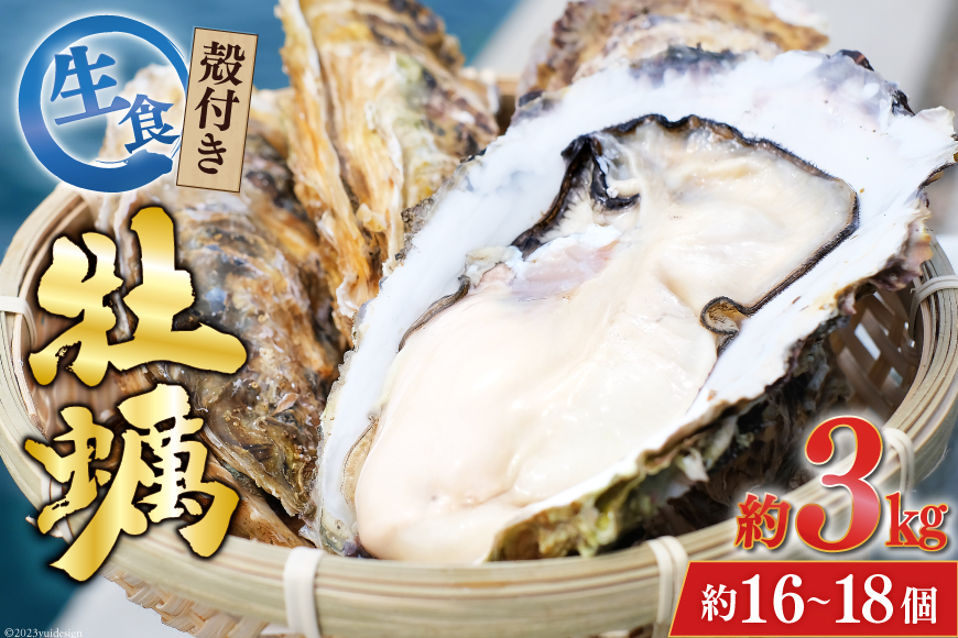 【期間限定発送】 TVで紹介！ 牡蠣 3～4年モノ 生食 殻付き牡蠣 約3kg(約16-18個入) [住喜水産 宮城県 気仙沼市 20564186] 期間限定 冷蔵 新鮮 濃厚 真牡蠣 カキ かき 生牡蠣 魚貝類 生牡蠣 貝 海鮮 魚介類 なべ カキフライ 牡蠣ご飯 魚介