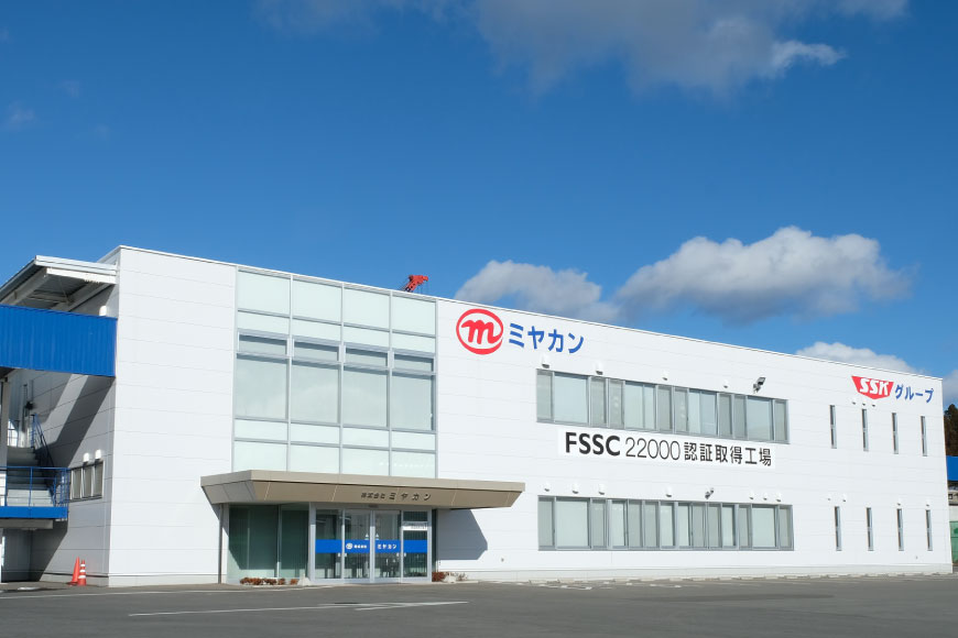 缶詰 ピリ辛ツナ ホワイト 75g ×12缶 [ミヤカン 宮城県 気仙沼市 20565675] ツナ缶 ツナフレーク ビンナガマグロ ピリ辛 小分け 常備 ストック 長期保存