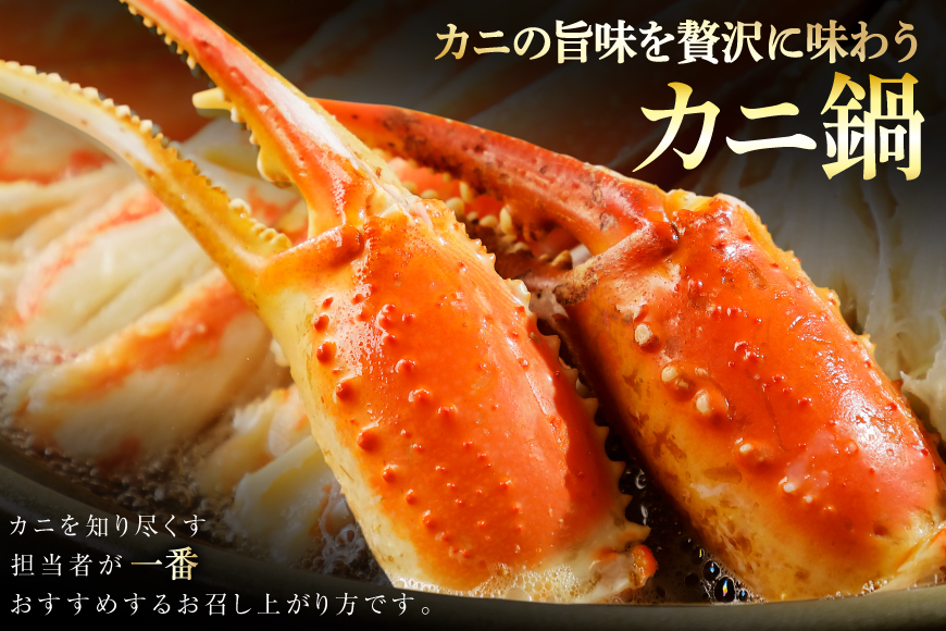 リピーター続出！ 本ずわいがに爪 約700g [カネダイ 宮城県 気仙沼市 20564321] 蟹 かに カニ ずわいがに ズワイガニ ずわい蟹 ズワイ蟹 ずわい ズワイ 蟹 カニ爪 蟹爪 カニ爪肉 つめ 爪 ボイル