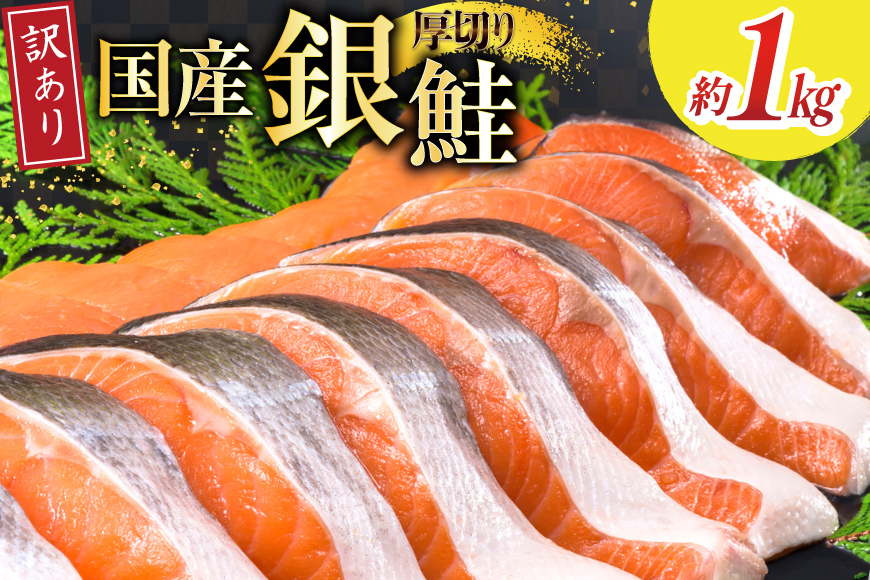 訳あり 国産 減塩 厚切り 塩銀鮭 切身 計 1kg [足利本店 宮城県 気仙沼市 20565949] サーモン 鮭 さけ サケ シャケ 魚 海鮮 魚介 甘塩味 規格外 不揃い 鮭切身 切り身 個包装 家庭用 訳アリ 塩分控えめ 無添加 冷凍