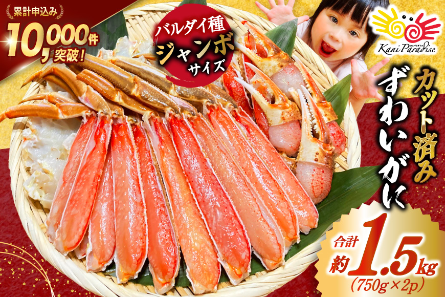 カット済 ずわいがに むき身セット 総重量1.5kg(750g×2p) かにしゃぶ かに鍋 正味重量1.2kg [カネダイ 宮城県 気仙沼市 20564319] かに カニ ずわいがに ずわい 蟹 棒 魚介 海鮮 ポーション