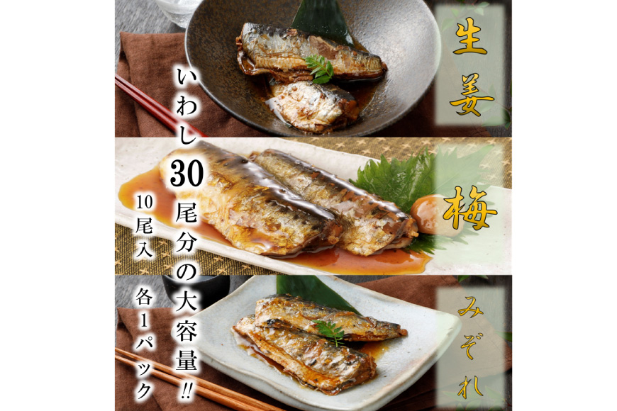 訳あり 業務用 いわし煮魚 3種×10尾 計30尾入 約1.4kg 簡易包装 [カネダイ 宮城県 気仙沼市 20564345] 生姜煮 梅肉煮 みぞれ煮 国産 冷凍 訳アリ 海鮮 魚 冷凍 おかず 焼き魚 簡単 時短 高級 魚介 海鮮 