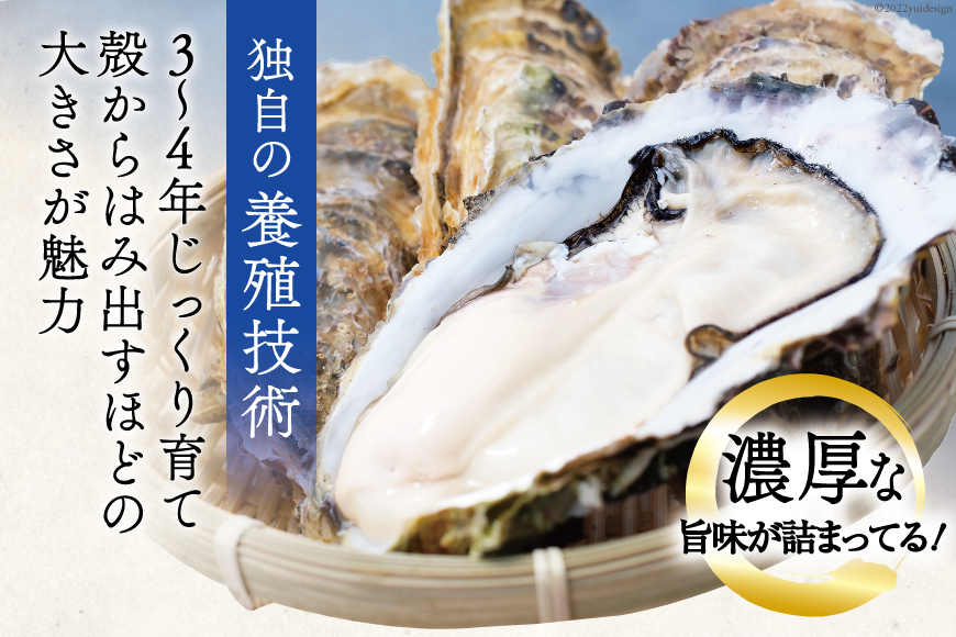 【期間限定発送】 TVで紹介！ 牡蠣 3～4年モノ 生食 殻付き牡蠣 約3kg(約16-18個入) [住喜水産 宮城県 気仙沼市 20564186] 期間限定 冷蔵 新鮮 濃厚 真牡蠣 カキ かき 生牡蠣 魚貝類 生牡蠣 貝 海鮮 魚介類 なべ カキフライ 牡蠣ご飯 魚介
