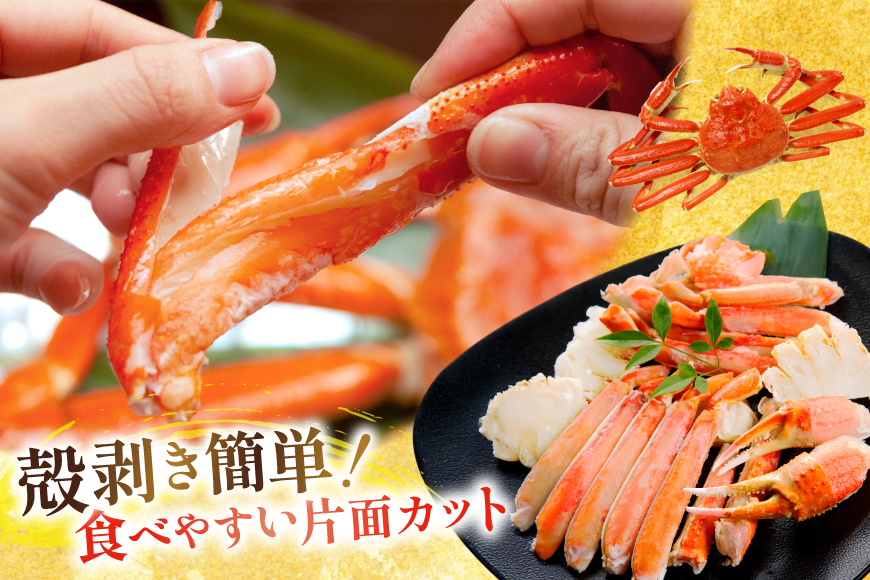 【2025 年内配送】 カット済 生 ずわいがに むき身 セット 総重量 750g (正味重量600g) 2-3Lサイズ [カネダイ 宮城県 気仙沼市 20565652] かに カニ ズワイガニ ずわい ズワイ 蟹 棒肉 ポーション かに鍋 かにしゃぶ 生ずわい