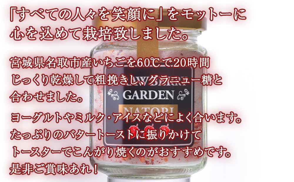 名取産 いちご で作った イチゴ糖 100g×2個入