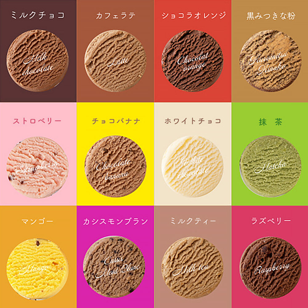 アルパジョン 新食感！とろける クッキー 12種 計12袋入 ベルギー産 チョコレート 使用 [益野製菓 ムッシュマスノアルパジョン]