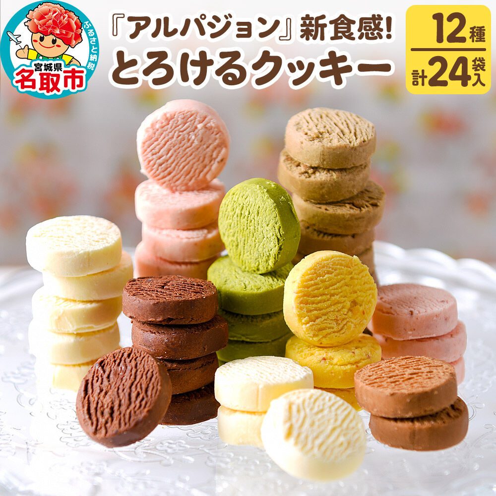 アルパジョン 新食感！ とろける クッキー 12種 計24袋入 ベルギー産 チョコレート 使用 [益野製菓 ムッシュマスノアルパジョン]