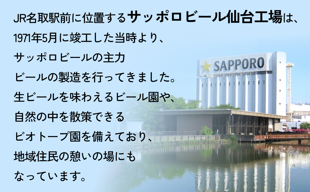 ニッポン の シン ・ レモンサワー 500ml×24缶(1ケース)×定期便5回 (合計120缶) サッポロ 缶 チューハイ 酎ハイ