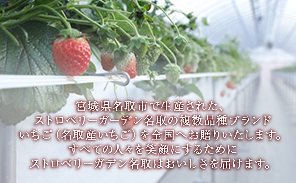 名取産 いちご とちおとめ で作った イチゴ糖 100g×2個　イチゴジャム140g×2個　ドライイチゴ10g×3個