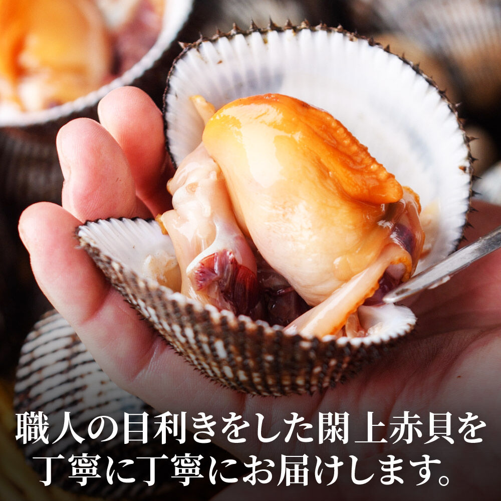 【 漁亭 浜や 】 水産庁長官賞 受賞 日本一と称される 閖上 赤貝の刺身 40g 高級食材 海鮮 魚介類 貝 [赤貝 刺身 閖上 本玉 水産庁長官賞 受賞 冷凍 40g とさかのり]