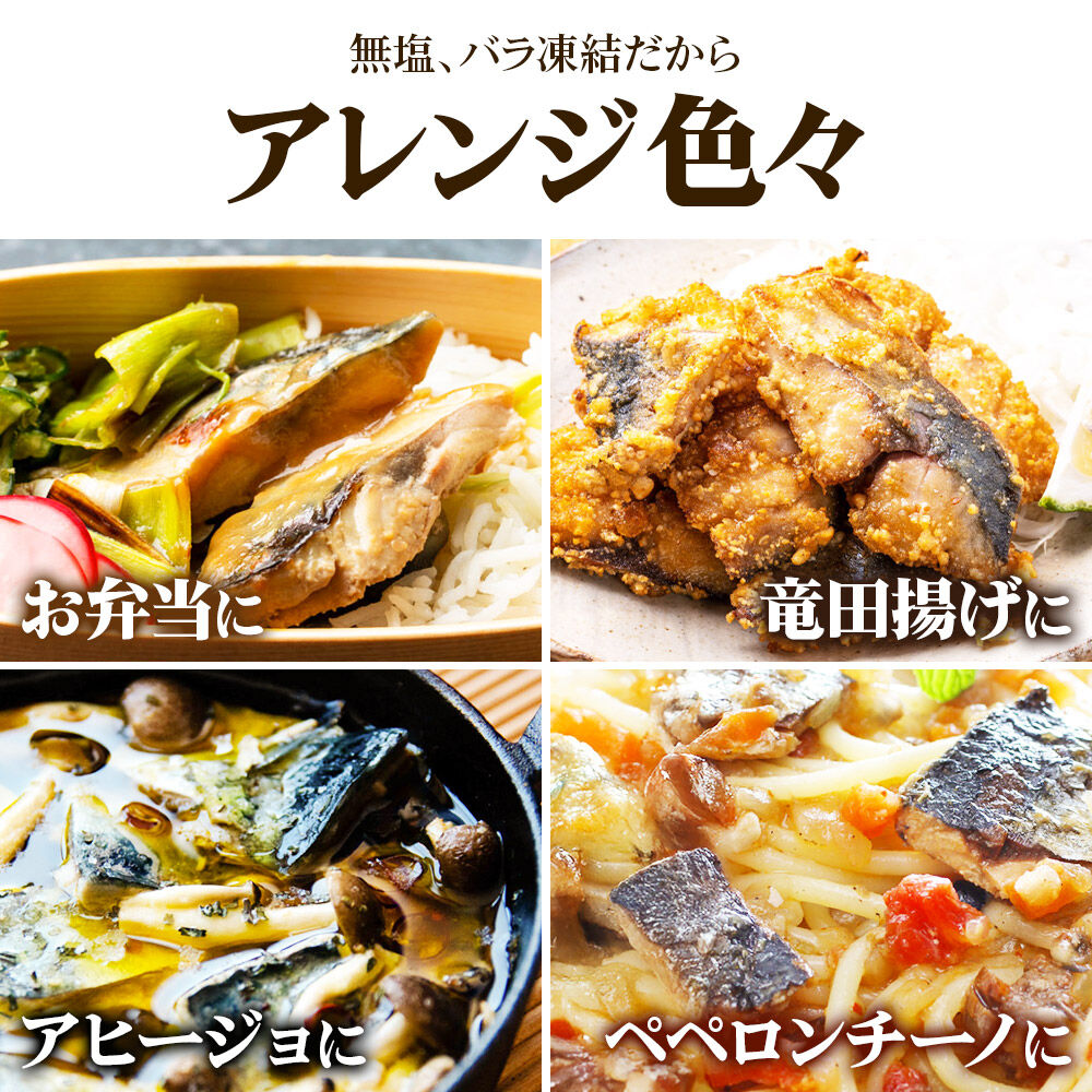 三陸常磐産 サバ 骨取切り身 30g×20枚入 鯖 冷凍 魚 おかず 魚のおんちゃま [鯖 さば 骨取 切り身 切身 センシン食品]