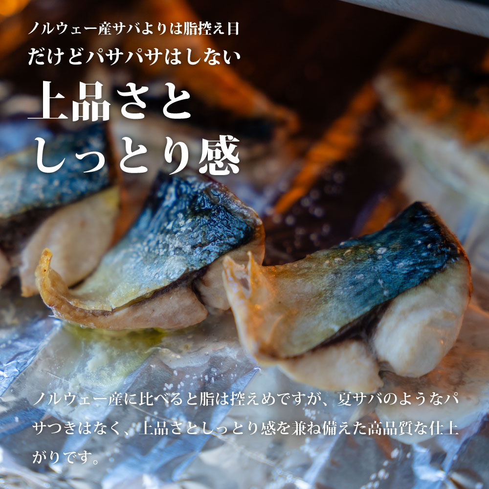 三陸常磐産 サバ 骨取切り身 30g×20枚入 鯖 冷凍 魚 おかず 魚のおんちゃま [鯖 さば 骨取 切り身 切身 センシン食品]