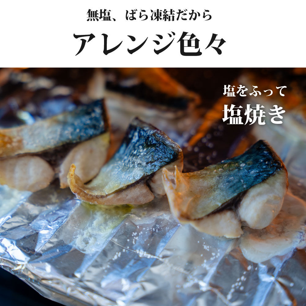 三陸常磐産 サバ 骨取切り身 30g×20枚入 鯖 冷凍 魚 おかず 魚のおんちゃま [鯖 さば 骨取 切り身 切身 センシン食品]