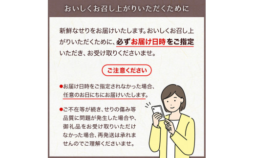 【期間限定】【お届け日時指定必須】漁亭 浜や 名取名産　美味なる根っこを食す「せり鍋セット」4、5人前×2箱セット