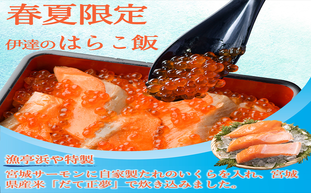 みやぎ飯【先行予約】【宮城さーもん】伊達のはらこ飯　１人前