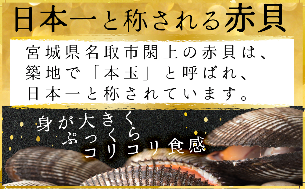【閖上赤貝】まるごと赤貝　１２個入り