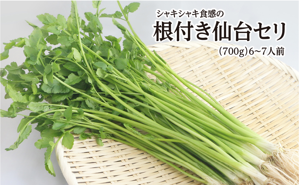 【期間限定】シャキシャキ食感の根付き仙台セリ（700g）6～7人前