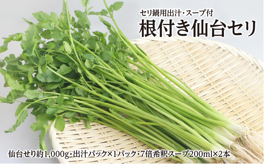 【期間限定】根付き仙台セリ鍋出汁セット（セリ鍋用出汁・スープ付）（1,000g）9～10人前
