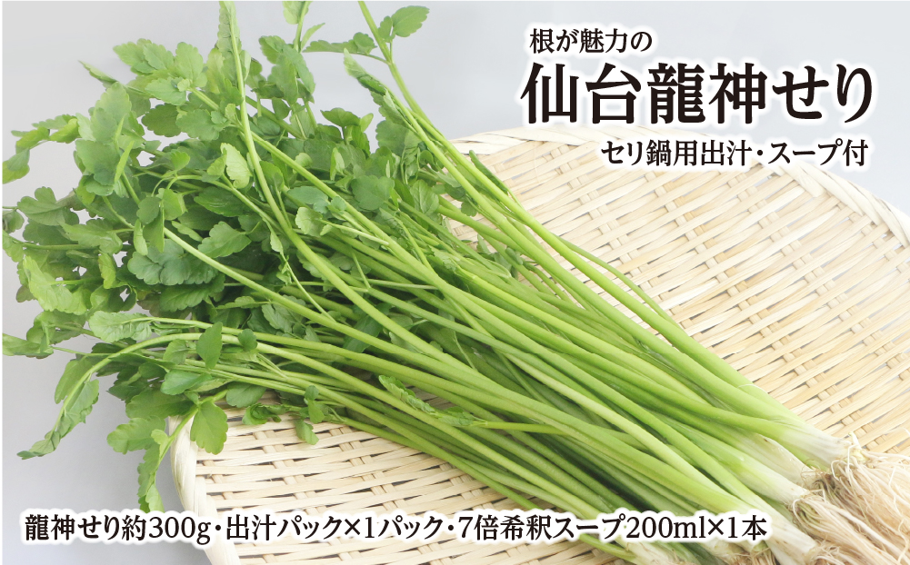 【期間限定】根が魅力の仙台龍神せり鍋出汁セット（セリ鍋用出汁・スープ付）(300ｇ)2～3人前