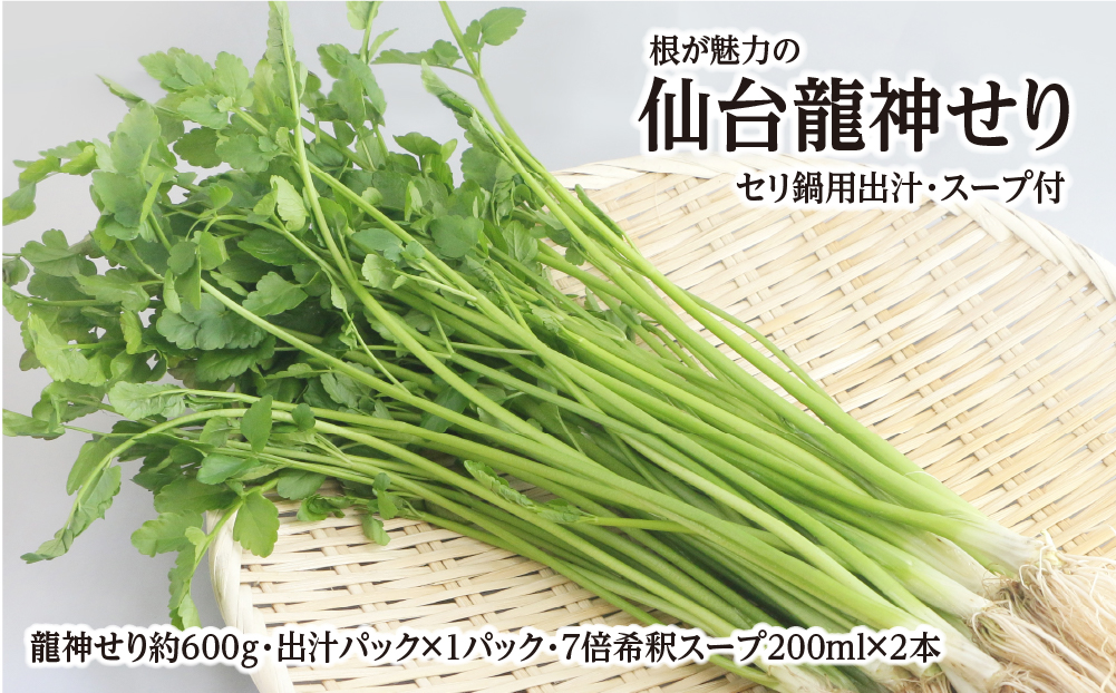 【期間限定】根が魅力の仙台龍神せり(600ｇ)5～6人前　（セリ鍋用出汁・スープ付）