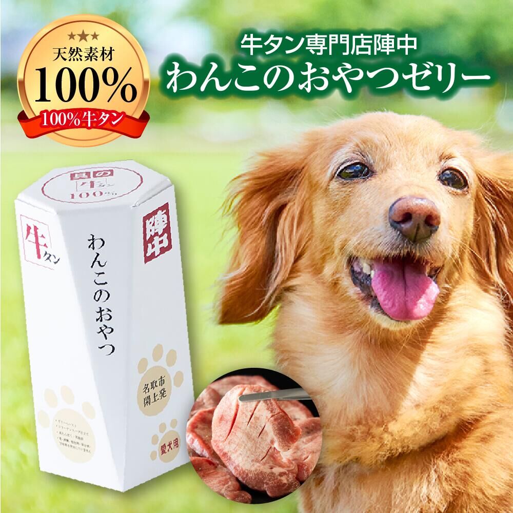 陣中 わんこのおやつペースト 5本入り1箱