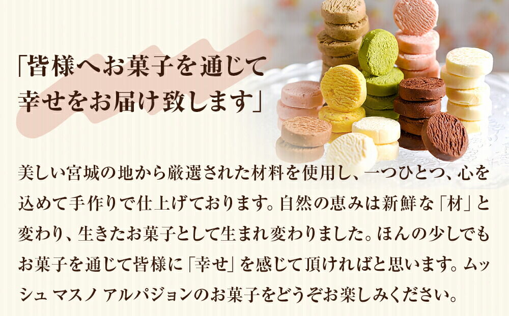 アルパジョン 新食感！とろける クッキー 12種 計12袋入 ベルギー産 チョコレート 使用 [益野製菓 ムッシュマスノアルパジョン]