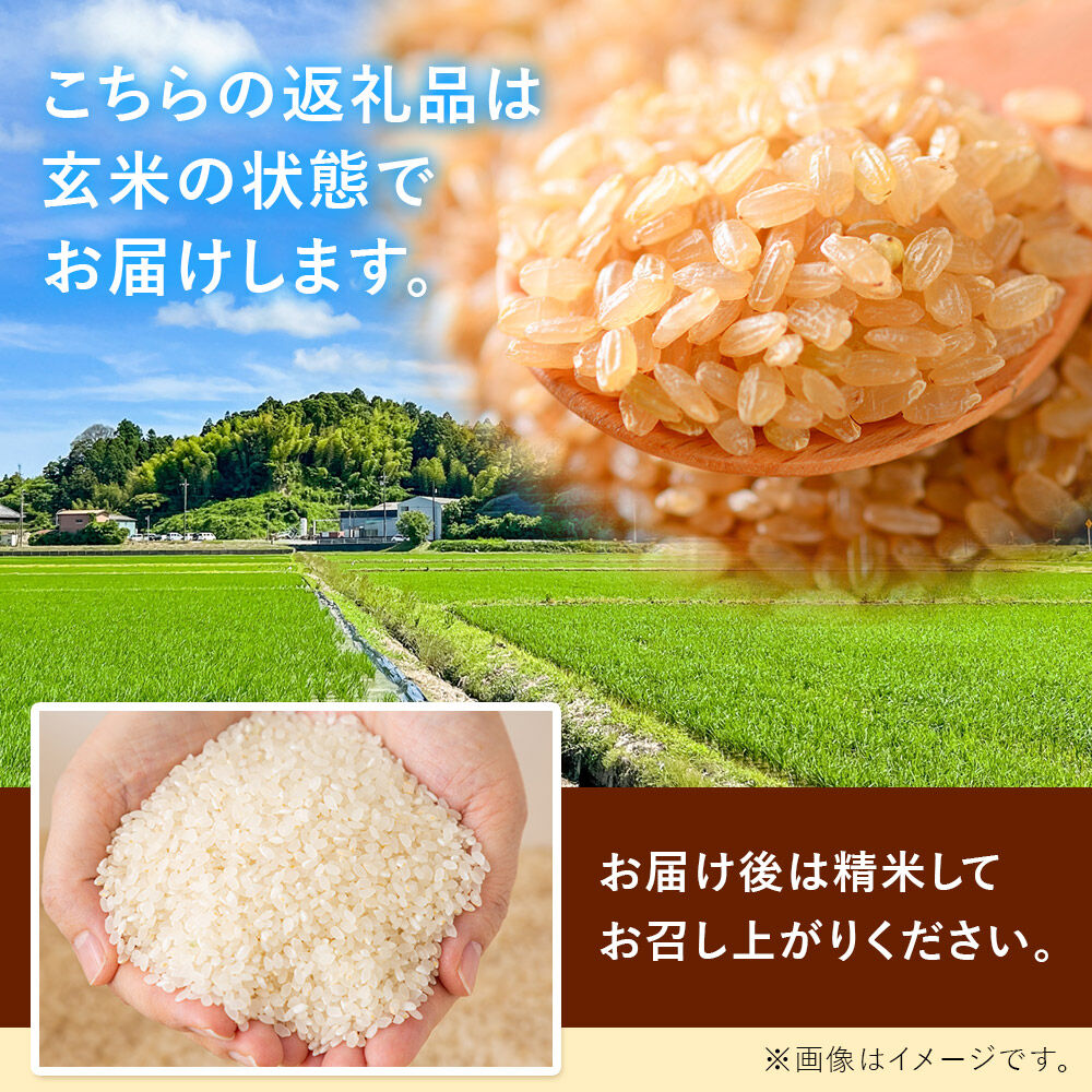 令和8年産 新米予約 つや姫 玄米 10kg 宮城県名取市産 お米 [つや姫 ブランド米 お米 玄米 米どころ 食卓 おにぎり 宮城県 名取市 名取市産]