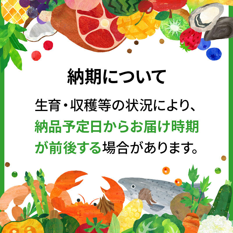 令和8年産 新米予約 つや姫 玄米 30kg 宮城県名取市産 お米 [つや姫 ブランド米 お米 玄米 米どころ 食卓 おにぎり 宮城県 名取市 名取市産]