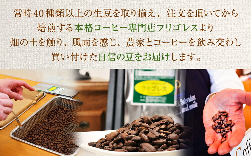 【定期便11ヶ月】フリゴレス 世界の豆の旅 プレミアム 3種 コーヒーセット (豆) 珈琲 詰め合わせ
