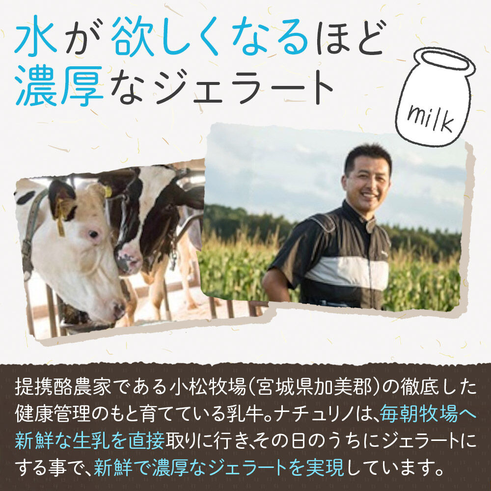 ナチュリノ自慢の手づくりジェラート 6種 自然派 人気店 Gelateria Natu-Lino natulino [ジェラート アイスクリーム スイーツ フルーツ カップ]
