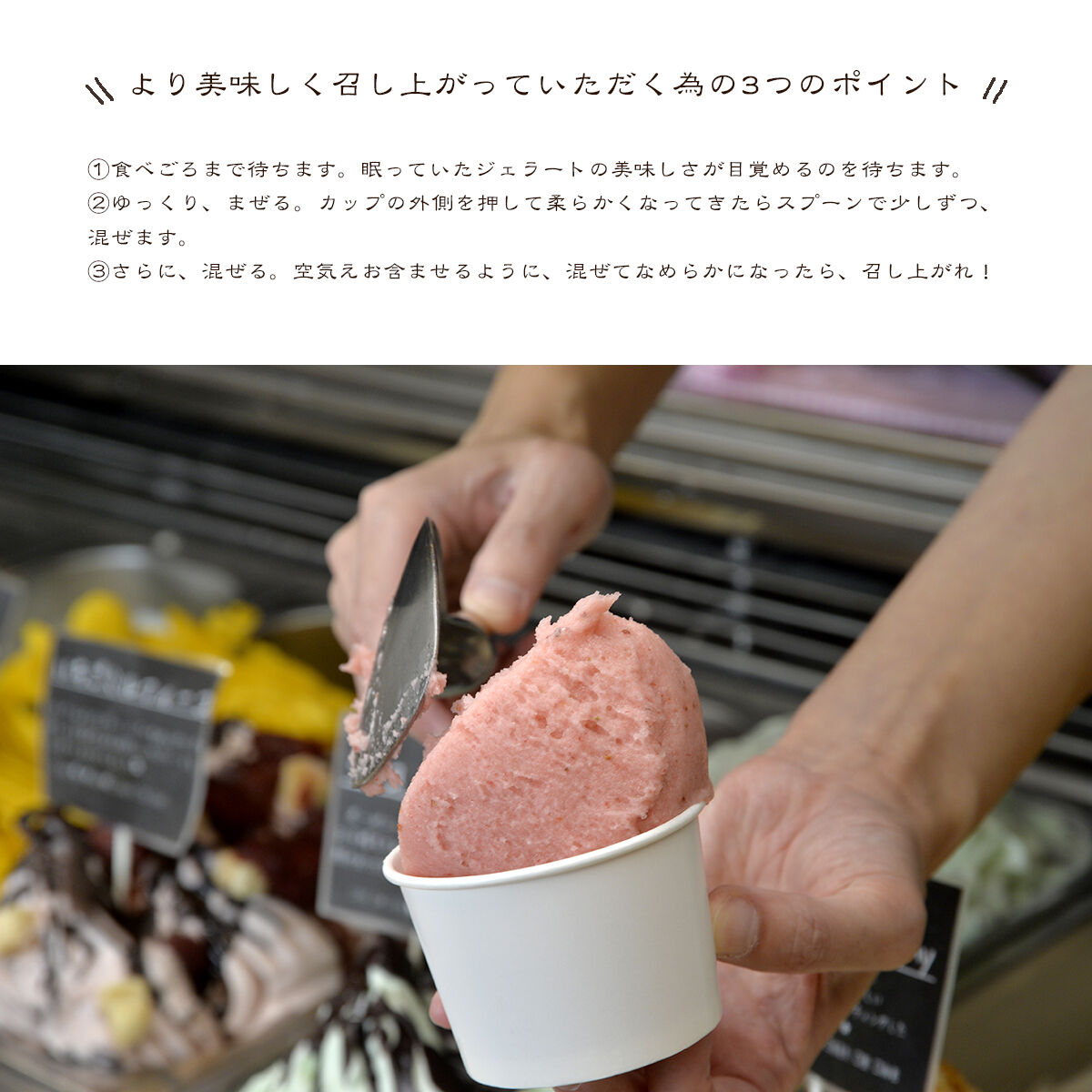 ナチュリノ自慢の手づくりジェラート 6種 自然派 人気店 Gelateria Natu-Lino natulino [ジェラート アイスクリーム スイーツ フルーツ カップ]