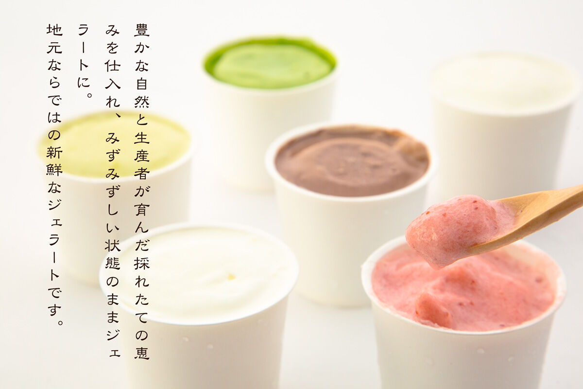 ナチュリノ自慢の手づくりジェラート 6種 自然派 人気店 Gelateria Natu-Lino natulino [ジェラート アイスクリーム スイーツ フルーツ カップ]