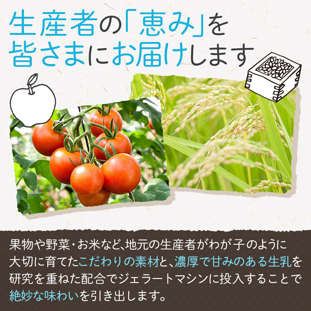 ナチュリノ自慢の「ずんだ」ジェラート 6個パック 自然派 人気店 Gelateria Natu-Lino natulino [ジェラート アイスクリーム スイーツ カップ]