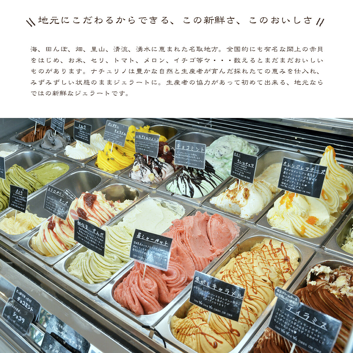 ナチュリノ自慢の「ずんだ」ジェラート 6個パック 自然派 人気店 Gelateria Natu-Lino natulino [ジェラート アイスクリーム スイーツ カップ]